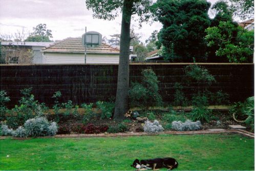 Melaleuca Brush Fence Panel 1800mm x 1800mm x 30mm (Heavy Duty)