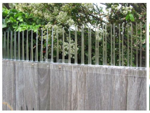 Thorny Devil Possum Spikes Fence Capping 500mm x 175mm high